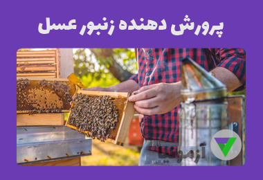 آزمون پرورش زنبور عسل (زنبورداری)