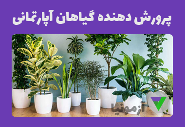 آزمون پرورش دهنده گیاهان آپارتمانی (اصل سوال+جزوه)