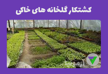 آزمون کشتکار گلخانه های خاکی