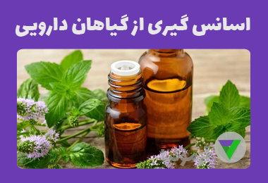 آزمون اسانس گیری از گیاهان دارویی