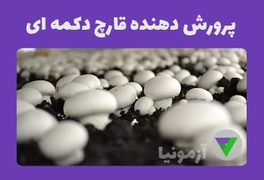آزمون پرورش دهنده قارچ دکمه ای